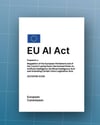 The EU AI Act